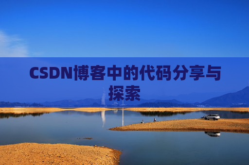 CSDN博客中的代码分享与探索